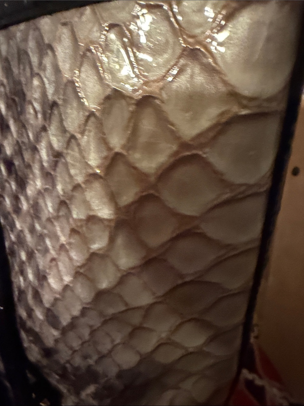 Brahmin Python-Print Tote Bag in Neutral/Black - Picture 14 of 16